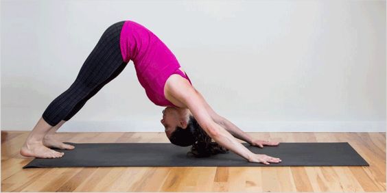 Downward Facing Dog Pose